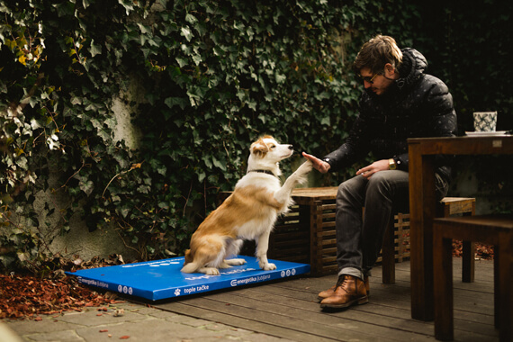 Slika Tople tačke - ljubitelj s psom